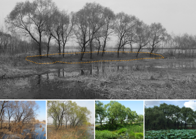 ���������� ���������� ����. ������� � Archstudio 