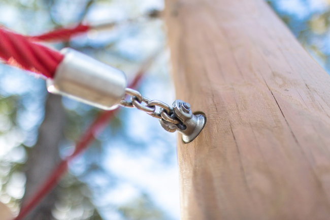 ������� �������� � �������. ���������� � ������ ������� / ������