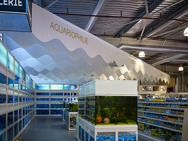 Shopcorner Aquariophlie.    Paper Design 