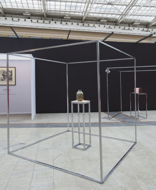 ������ ���� ���������. ������������ ���� ������ ����������. ����: ������� ������