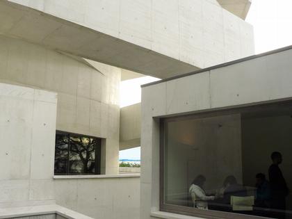 ���� ����� �������