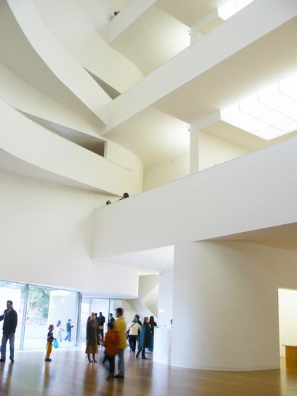 ���� ����� �������