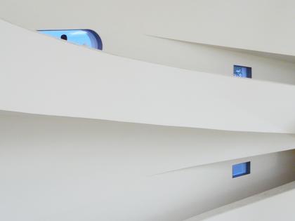 ���� ����� �������