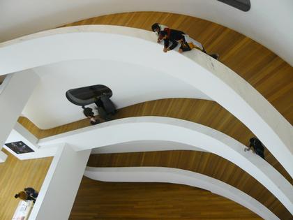 ���� ����� �������