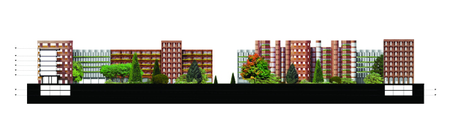 ������ �������������������� ������ �������� Homelands � Citizenstudio