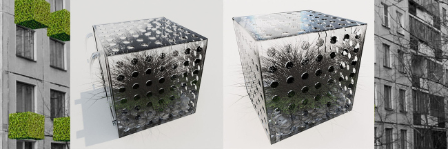 ������ �Life in the cube�. �����: �������� ����������