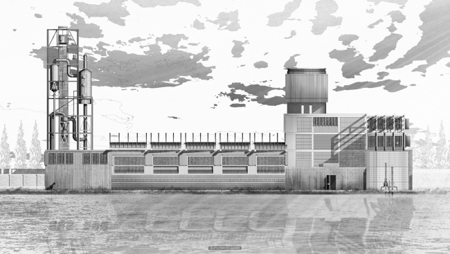 Industrial Melanism. �����: Joel Jones, London Southbank University (��������������)