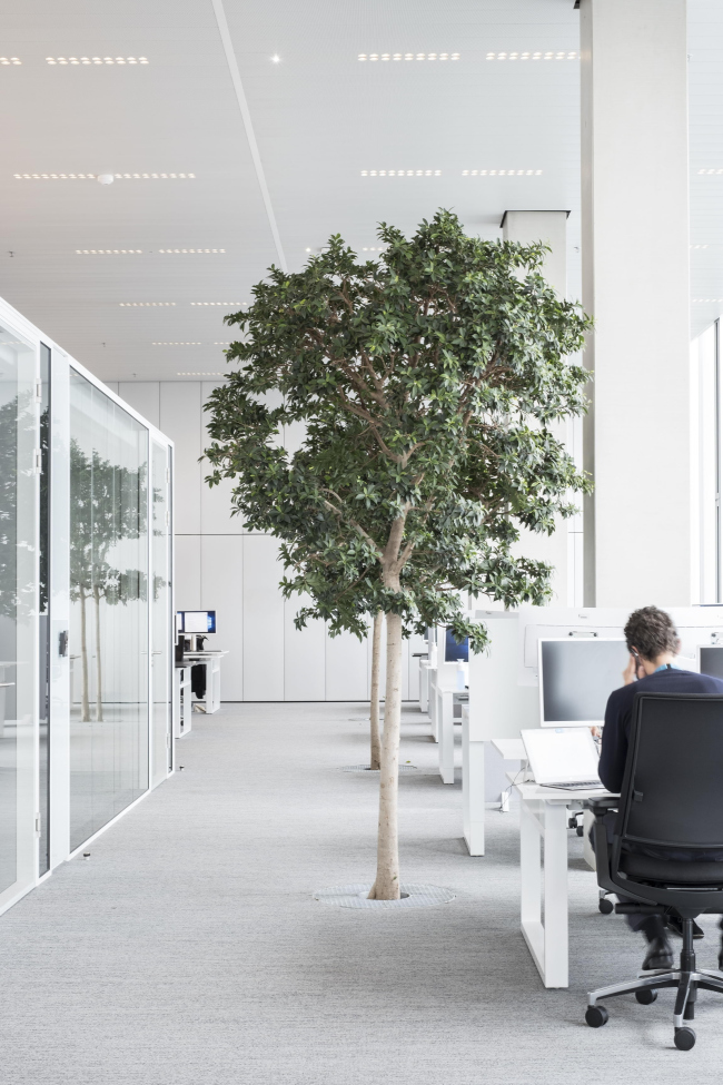 ���������������� ������ �� ����� ���������, 8. ���� � Nick Guttridge, ������������� OMA