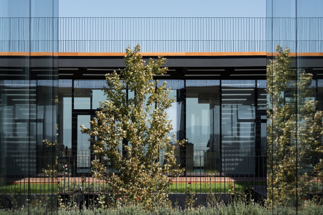 Winery in Haykadzor. Realization, 2013-2017, Kleinewelt Architekten. Photograph  Ilia Ivanov