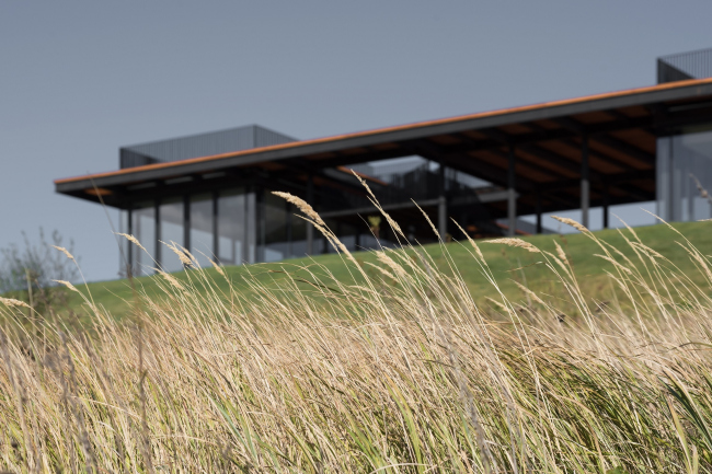 Winery in Haykadzor. Realization, 2013-2017, Kleinewelt Architekten. Photograph � Ilia Ivanov