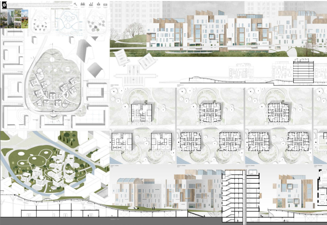 ������ �������������������� ��������� �������� �����������. �����, 2017