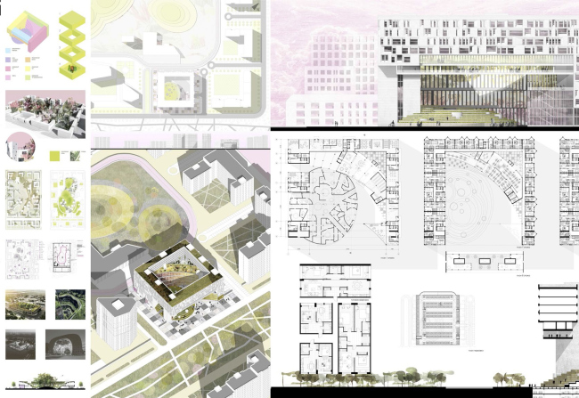 ������ �������������������� ��������� ����� ����������. �����, 2017