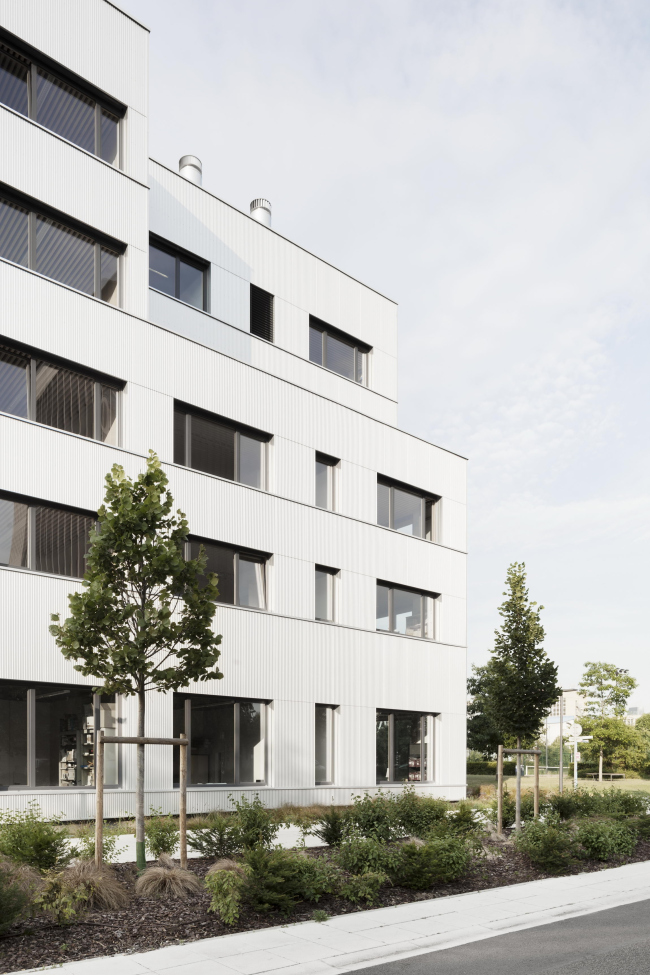 ������ ����� ����� ������, ����������� ����� X � ������ � Schnepp Renou