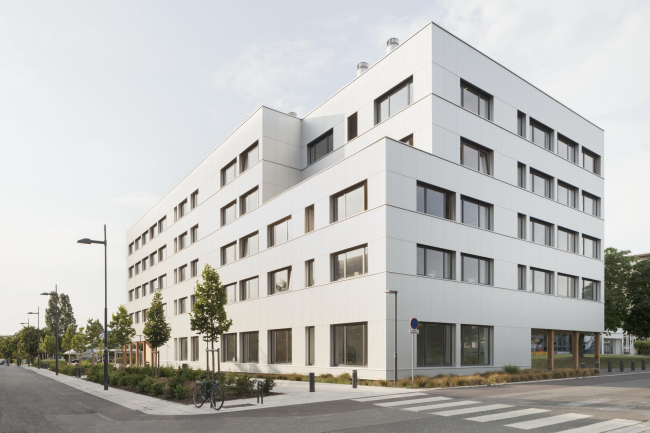 ������ ����� ����� ������, ����������� ����� X � ������ � Schnepp Renou