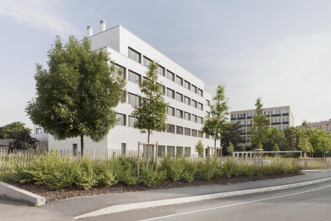 ������ ����� ����� ������, ����������� ����� X � ������ � Schnepp Renou