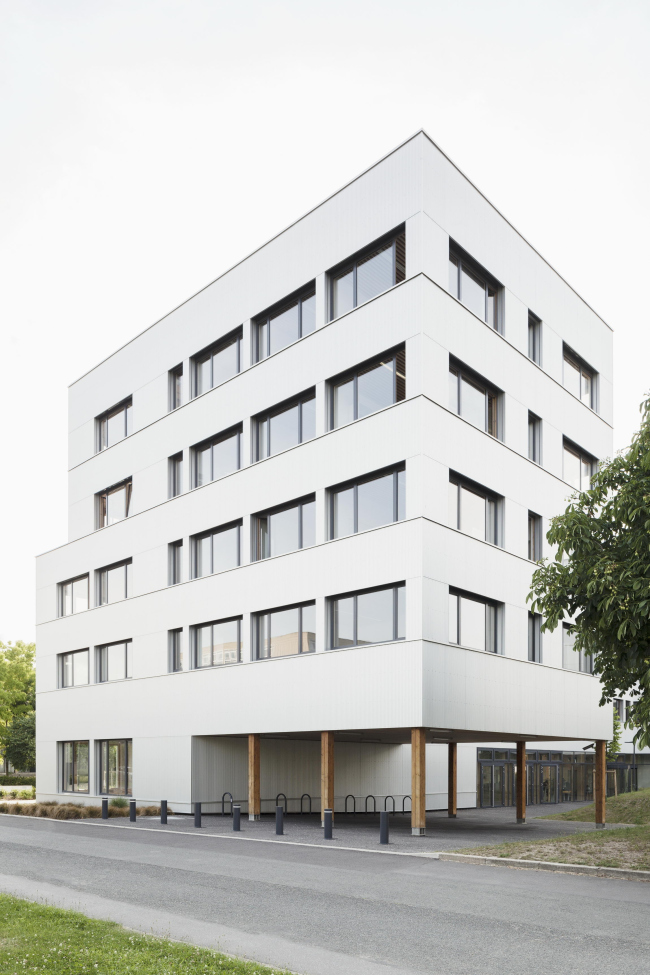 ������ ����� ����� ������, ����������� ����� X � ������ � Schnepp Renou