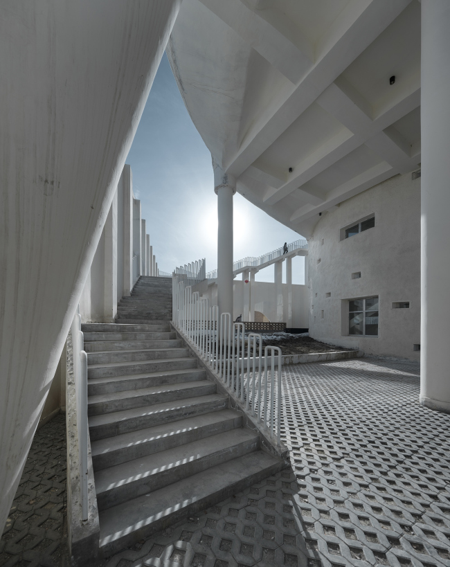 ����� �������� �������� �������� �  Yao Li