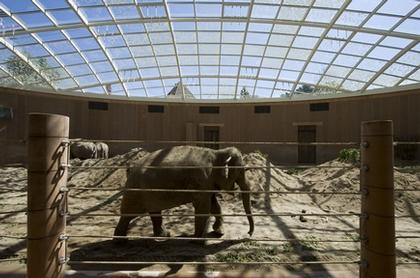 «Дом слонов» в Копенгагенском зоопарке. Фото © Richard Davies