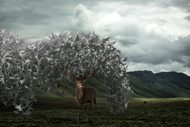 ����������� ������������� ����