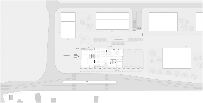 ������������ ����. ������������ ����� Colors of Humanity, ������ � Steven Holl Architects