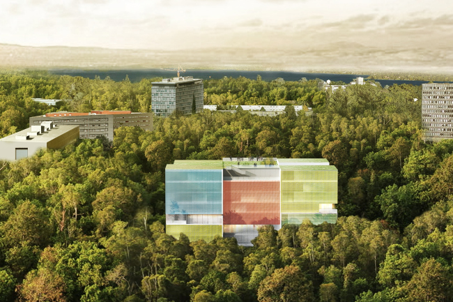 ������������ ����� Colors of Humanity, ������ � Steven Holl Architects