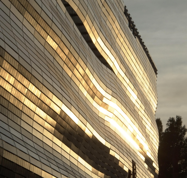 ����� ������� ����������� � ���� � Serge Urvoy