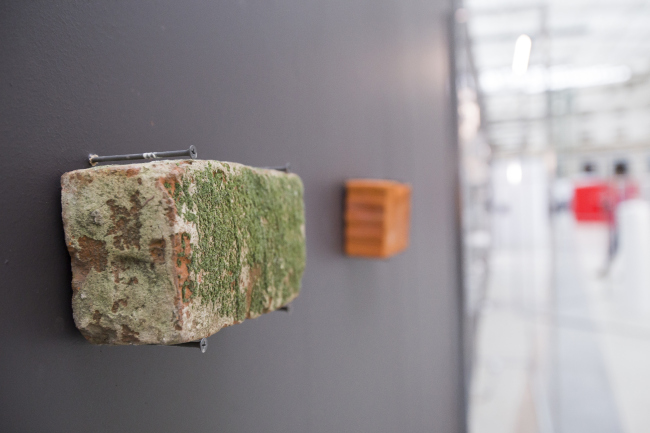 ����������� ��������� ������ �������������� ���� ������� � ������� ���������� ������� �������� �� ��������� ���������� 2017 .