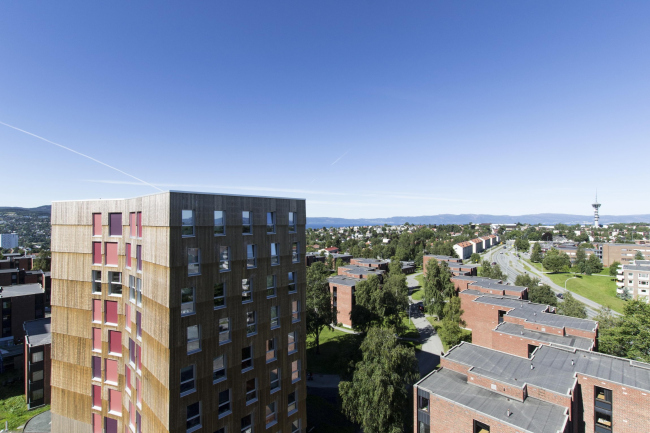 ������������ ��������� Moholt 50|50 � Ivan Brodey