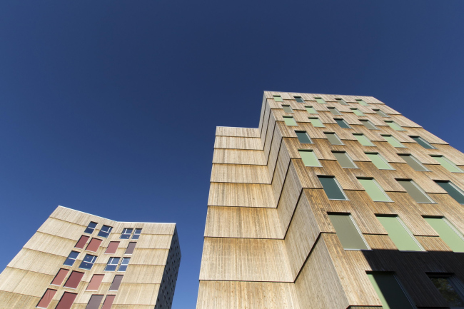 ������������ ��������� Moholt 50|50 � Studentsamskipnaden og MDH arkitekter