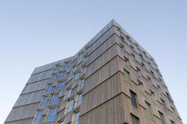 ������������ ��������� Moholt 50|50 � Ivan Brodey