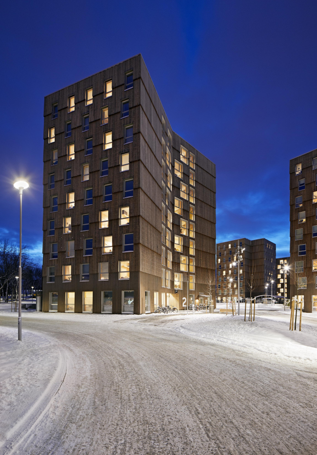 ������������ ��������� Moholt 50|50 � Ivan Brodey