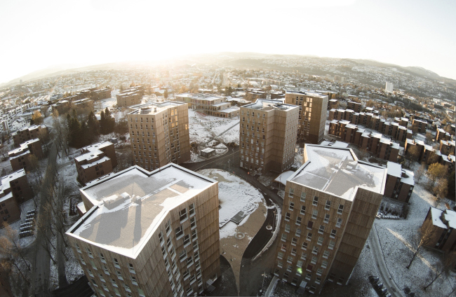 ������������ ��������� Moholt 50|50 � Tomas Bekkavik