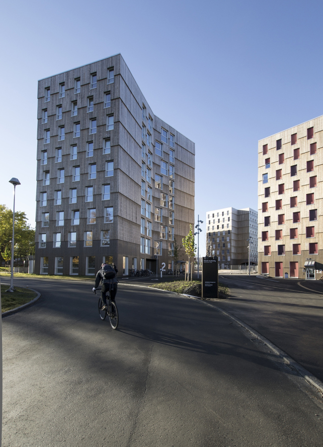   Moholt 50|50  Studentsamskipnaden og MDH arkitekter