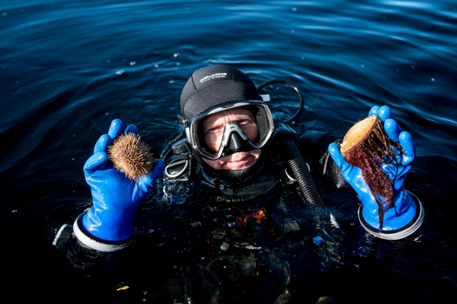 ����: ������ ������, ���� �������, �������� ������������. ������������� ������ �������� ������