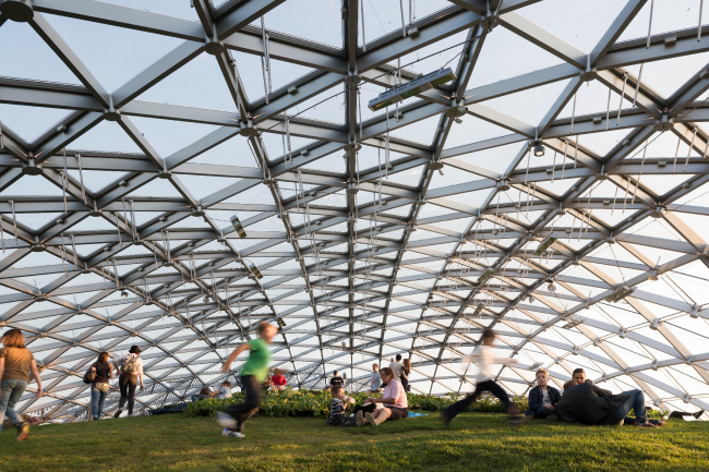 ���� �������. ���������� � ���� ������