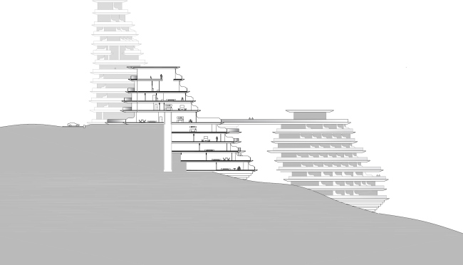 ����� �������� �������� ���� ��������� � MAD