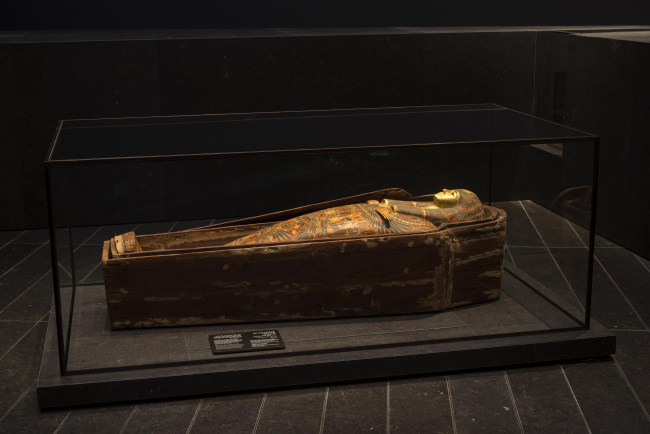 ���� ���-����. ���� � Marc Domage. ���������� ��� ������