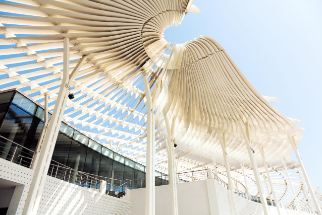 ������ ����� � ������� � Firas Al Raisi, Luminosity Productions