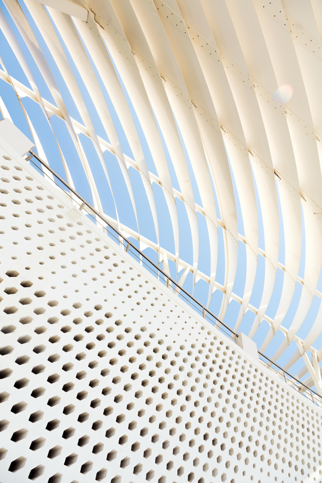 ������ ����� � ������� � Firas Al Raisi, Luminosity Productions