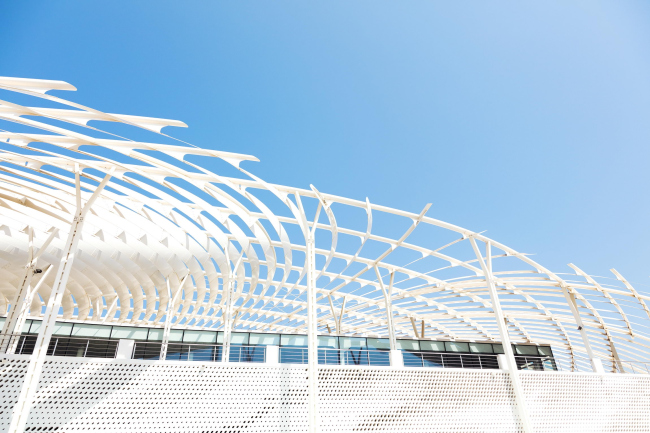 ������ ����� � ������� � Firas Al Raisi, Luminosity Productions