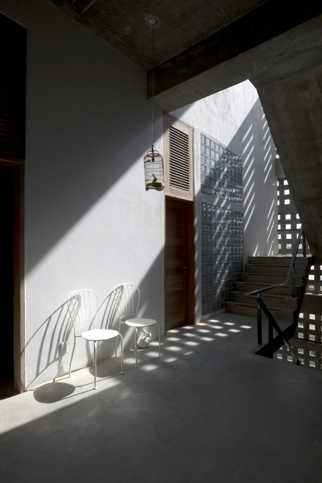 ����� � ����������� Tamasa � Akinobu Kawabe