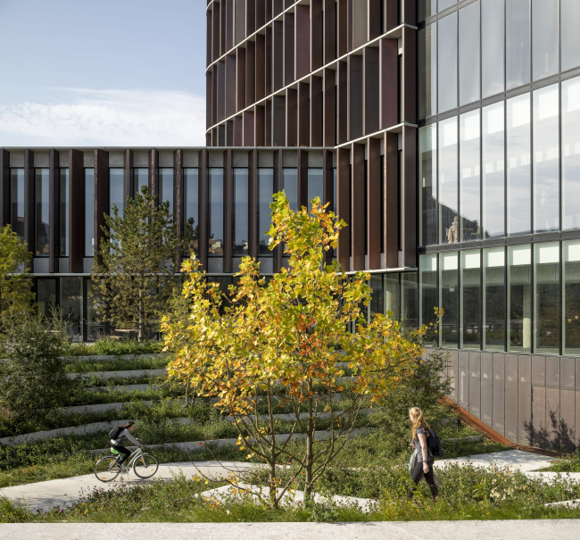 ����� Maersk, ������ ���������� ����������� ���� ��������������� ������������ � Adam Mørk