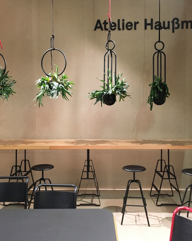 imm Cologne. ���������� � ��������� �������