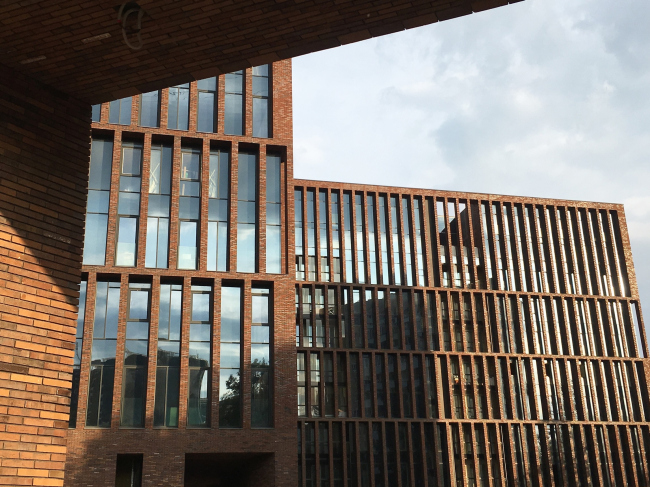 �� �������