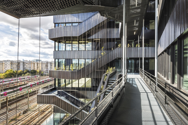 ������� ������ Lot 7 � Sergio Grazia