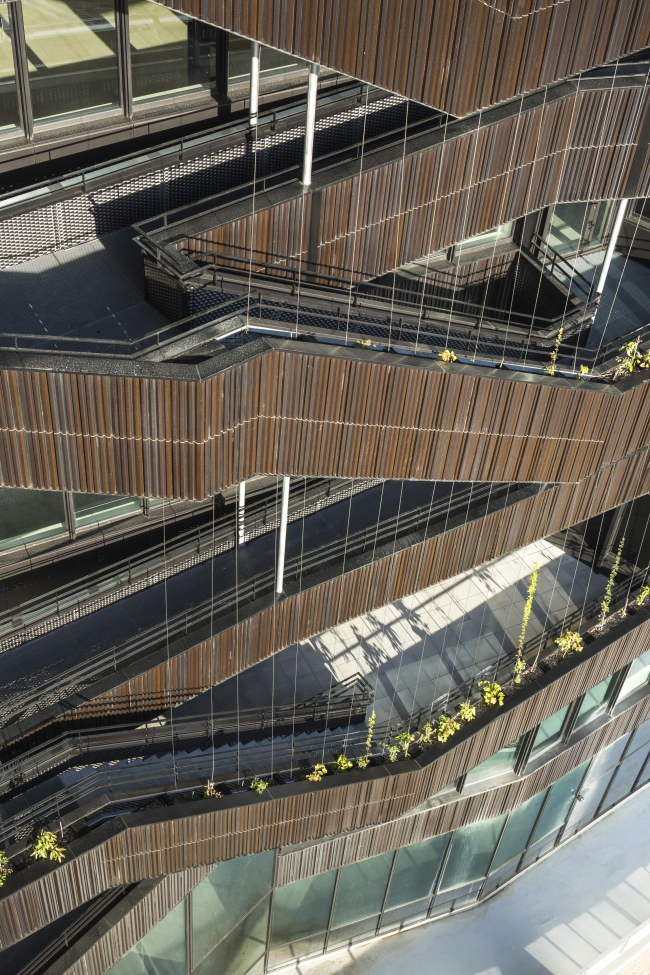 ������� ������ Lot 7 � Sergio Grazia