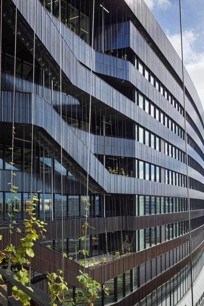 ������� ������ Lot 7 � Takuji Shimmura