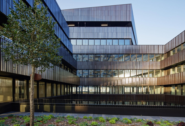 ������� ������ Lot 7 � Takuji Shimmura