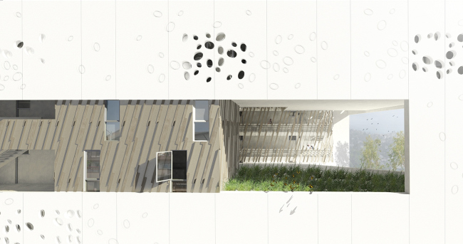 ���������� ����� �������� The Six � Brooks + Scarpa