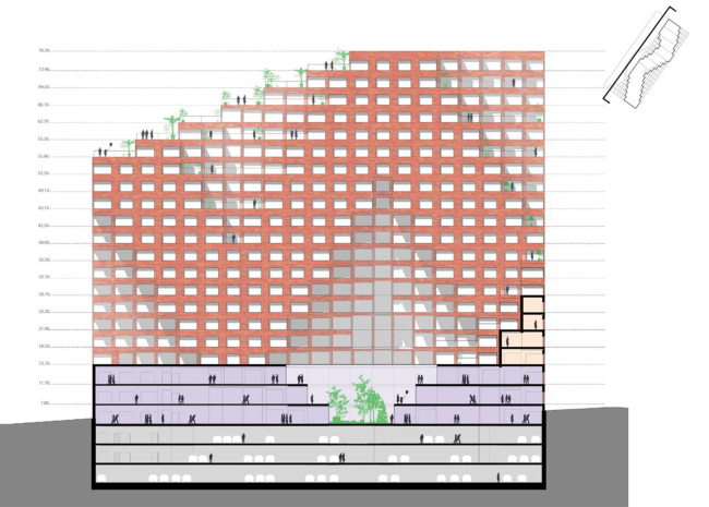 ����� �������� RED7. ������ 